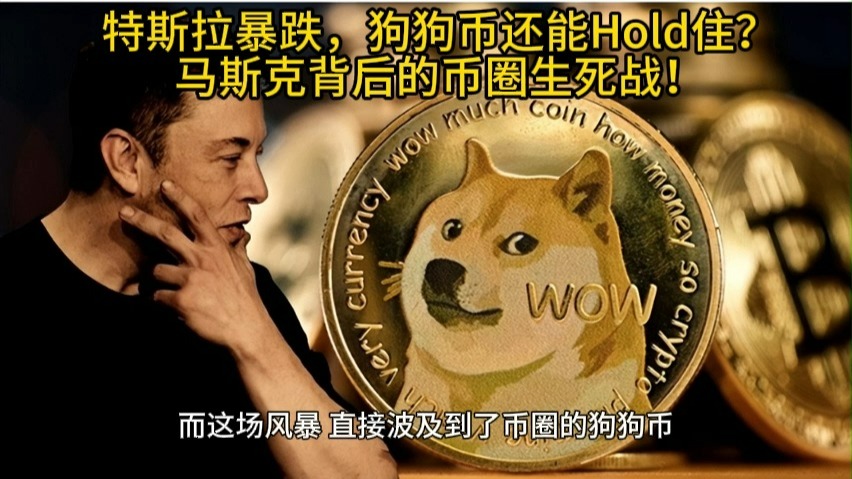 马斯克再次发推，狗狗币瞬间上飙升SOL%！